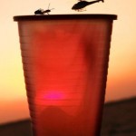 Helicopter vs ant
