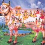 ಆ ಸ್ಥಾನದಲ್ಲಿ ನೀನಿದ್ದರೆ . . . . ?
