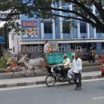 ಮಂಡ್ಯದಲ್ಲಿ ವಿಶ್ವಮಂಗಲ ಗೋ ಗ್ರಾಮ ಯಾತ್ರಾ ಸಭೆ..