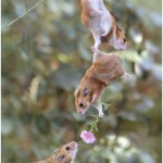 Friendship and love defined in a single photo........