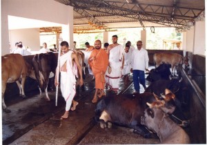 dharmasthala (5)
