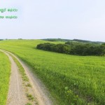 (Kannada) ಹೊಮ್ಮಲಿ ಹಚ್ಚನೆ ಹಸಿರು – ನಿರ್ಮಲವಾಗಲಿ ಉಸಿರು