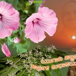 ಚಾಂದ್ರಮಾನ ಯುಗಾದಿಯ ಶುಭಾಶಯಗಳು