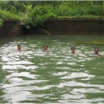 Missing this...............