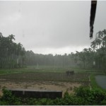 Missing this...............