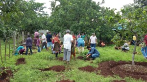 ಮುಂಬೈ ಸಮೀಪದ ಕೋಲ್ಹಾಡ್ ಗೋಶಾಲೆ